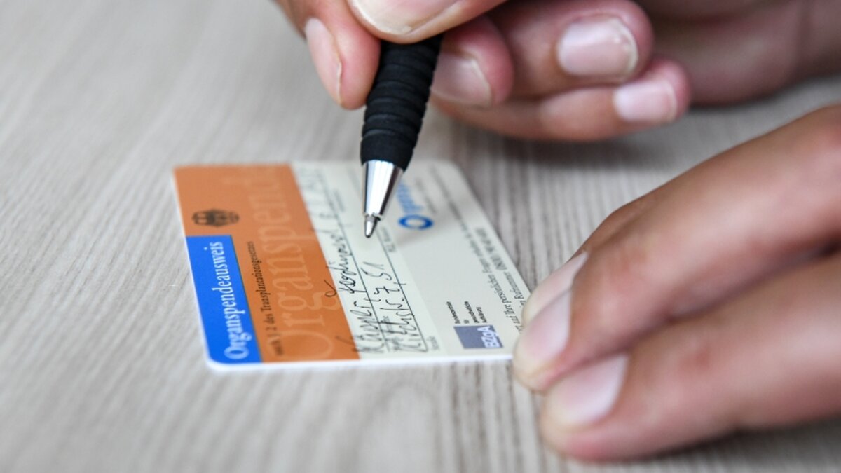 Wie wird man Organspender? DOMRADIO.DE