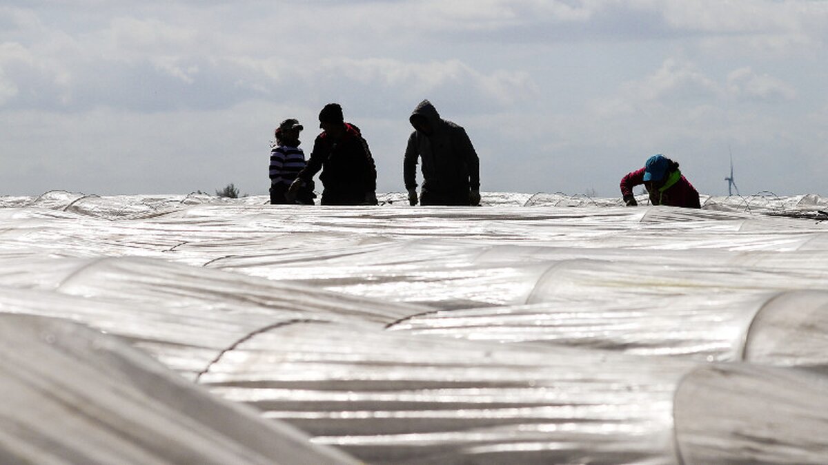 -Moderne-Sklaverei-Bischofskonferenz-macht-auf-Opfer-von-Menschenhandel-aufmerksam