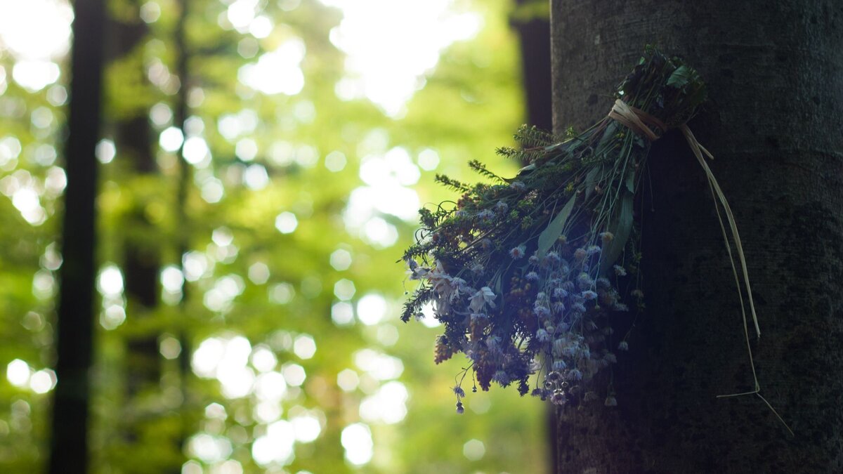 Friedh-fe-als-gemeinsame-Erinnerungsorte-Freiburger-Erzbischof-kritisiert-Liberalisierung-bei-Bestattungen