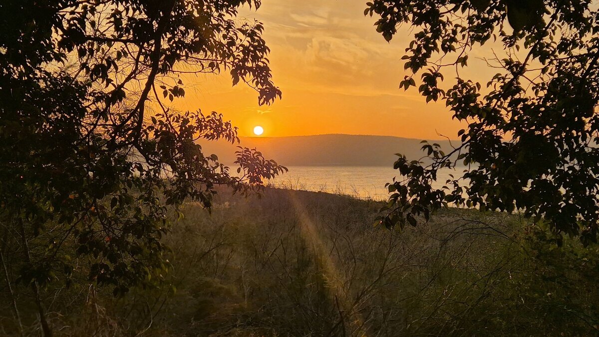 -Willkommen-im-Paradies-Exerzitien-im-Heiligen-Land-zur-Zeit-des-Waffenstillstands