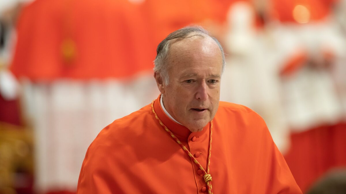 Rolle-der-USA-auf-dem-Pr-fstand-Papst-empf-ngt-Trump-kritischen-Kardinal-von-Washington