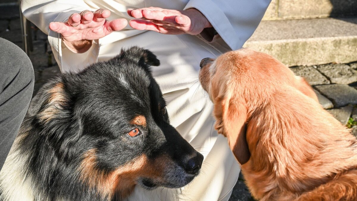 -Theologie-kann-Leben-ndern-Warum-der-Theologe-Taxacher-kein-Fleisch-mehr-isst