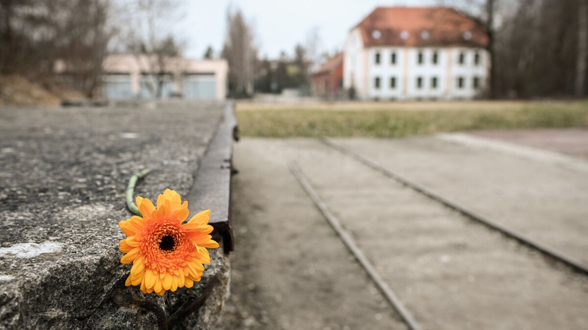 Besonders-hohes-Interesse-in-NRW-Interesse-an-NS-Gedenkst-tten-bleibt-gleichbleibend-hoch