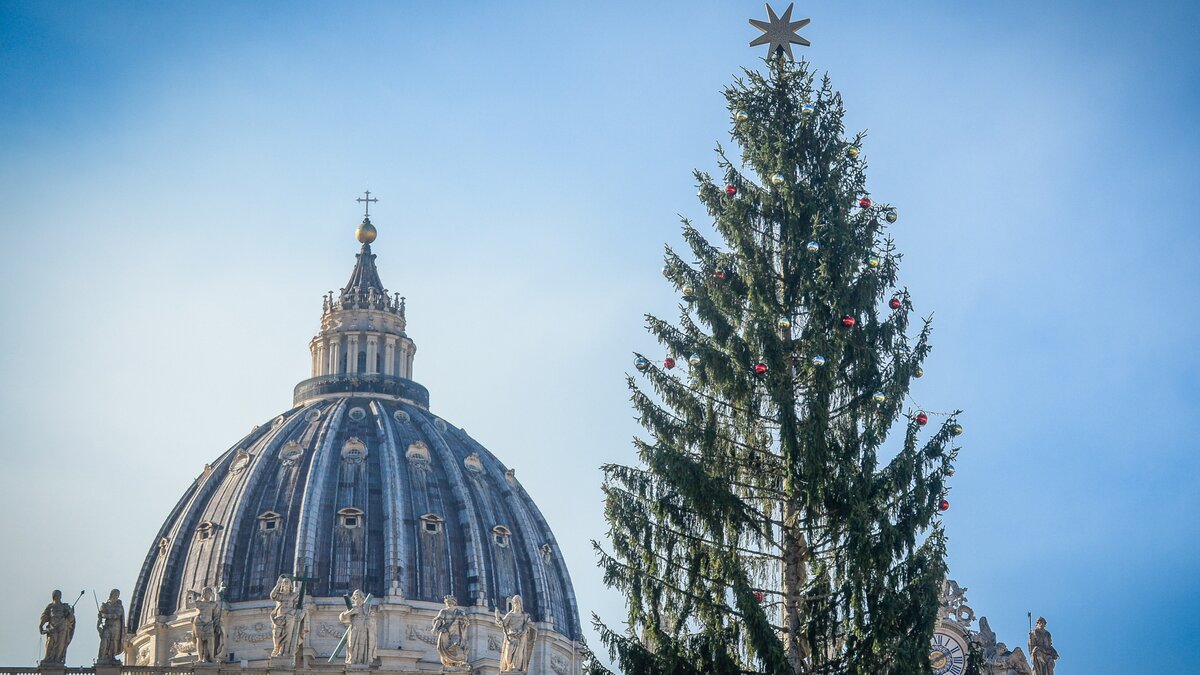 Kritik-an-Kosten-Vatikan-bekommt-Christbaum-aus-Niederbayern