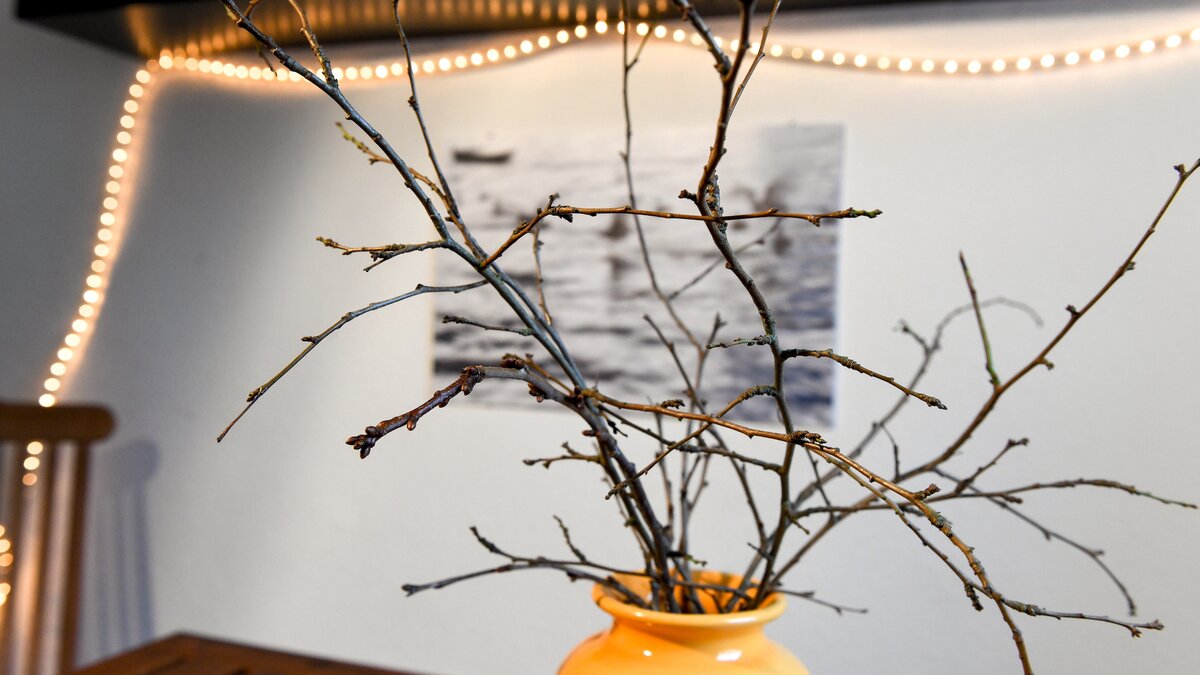 Barbarazweig-statt-Tannengr-n-Wie-man-im-Advent-nachhaltig-auf-die-Umwelt-achten-kann