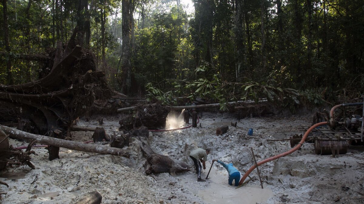 Sch-rfen-mit-t-dlichem-Preis-Misereor-und-peruanischer-Bischof-klagen-Goldboom-im-Amazonas-an