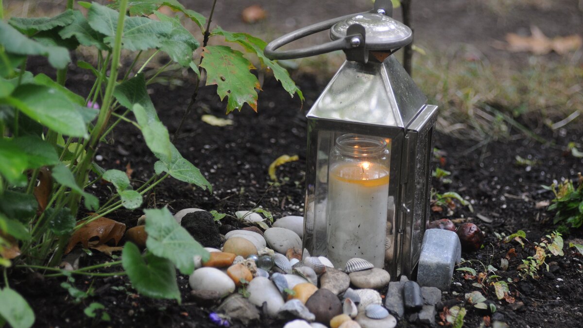 -Mit-dem-Tod-der-anderen-muss-ich-leben-Hospizleiterin-Bidner-warnt-vor-Video-Testamenten-und-KI-Erinnerungen