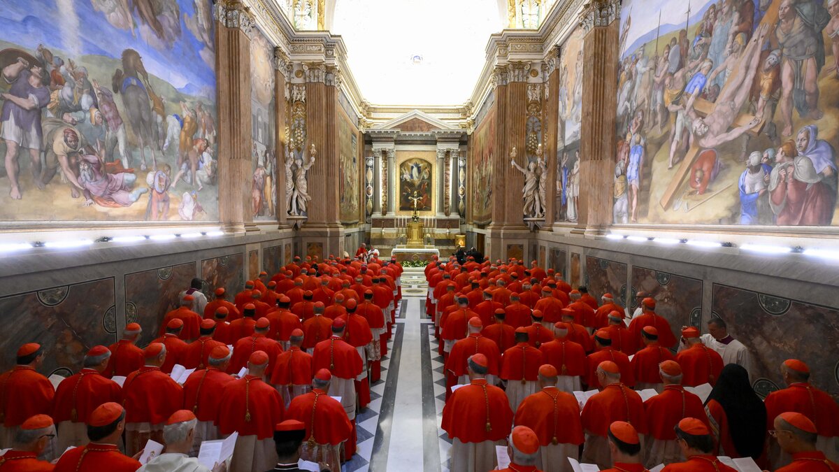 Ruhest-ndler-in-der-berzahl-Mehrheit-der-Kardin-le-ist-ber-80-Jahre-alt