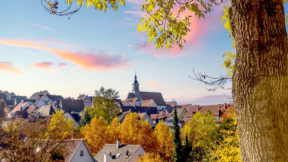 Nach-ber-40-Jahren-Di-zese-arbeitet-mit-Kirchengemeinde-Missbrauch-in-Marbach-auf