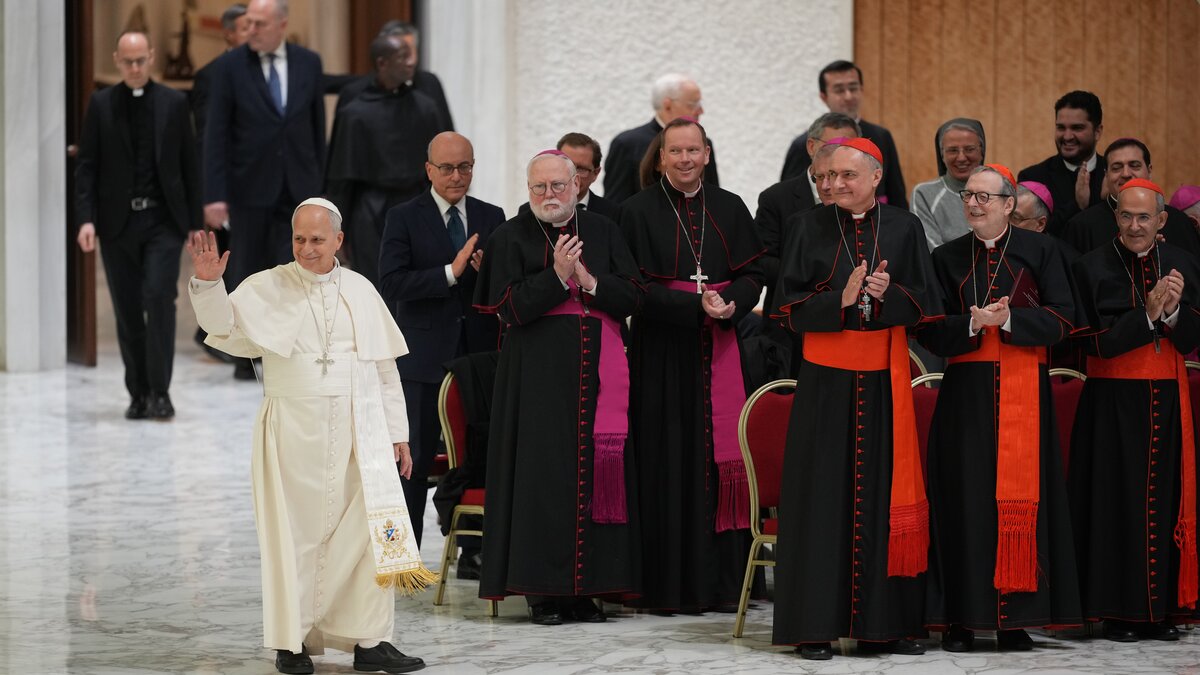 -Lebendige-Zeichen-der-Hoffnung-Papst-dankt-5-000-Helfern-des-Heiligen-Jahres
