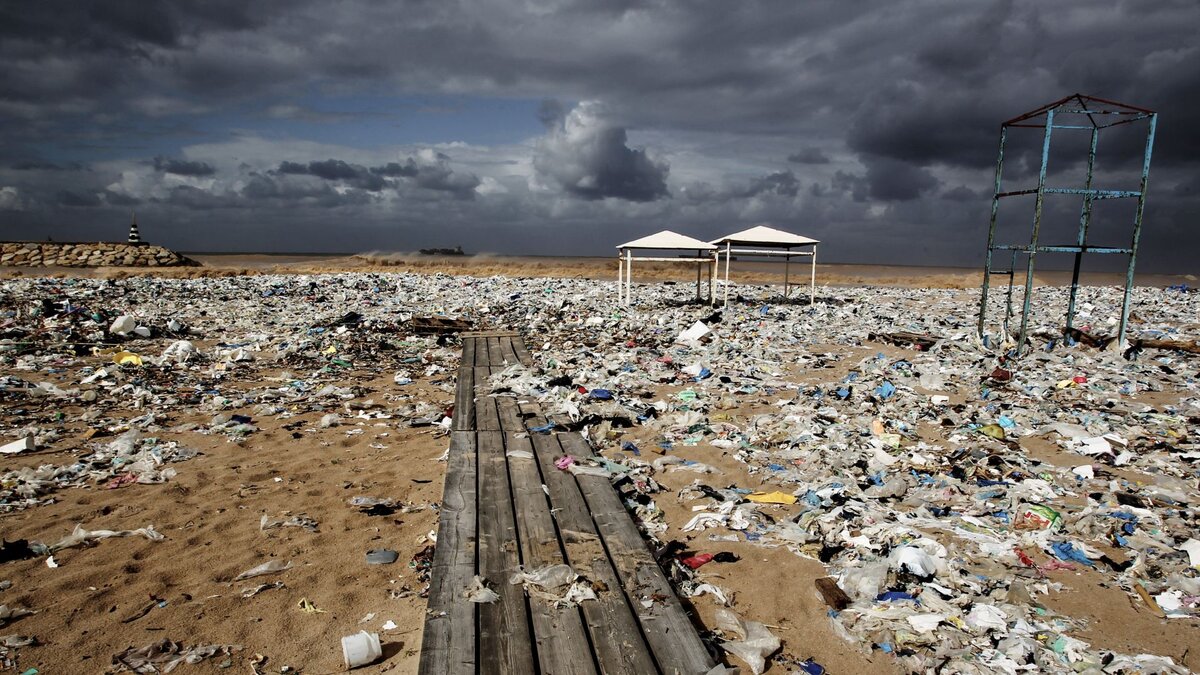 Den-Schrei-der-Natur-h-ren-Papst-Leo-XIV-ruft-zu-kologischer-Umkehr-auf