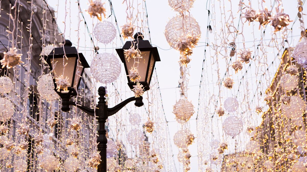 -N-chte-viel-zu-hell-Tiersch-tzer-fordern-Begrenzung-der-Lichtverschmutzung-im-Advent