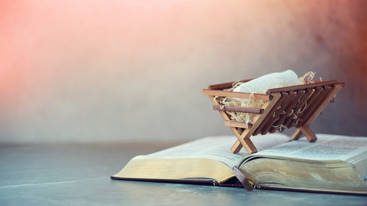 -ICE-war-hier-Krippe-mit-Trumpkritik-sorgt-in-USA-f-r-Aufsehen