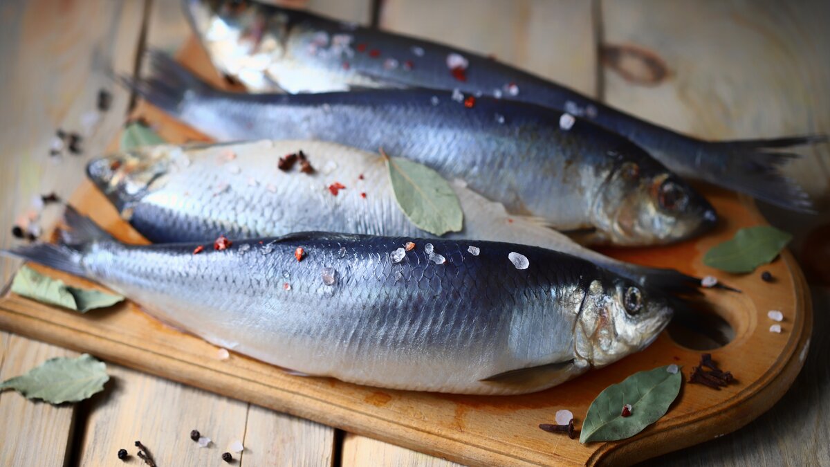 Ein Hoch auf den Hering zur Fastenzeit | DOMRADIO.DE