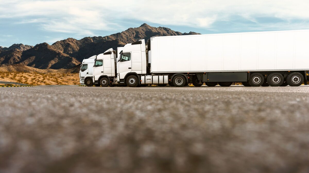 -Gutes-tun-kann-jeder-Bistum-Speyer-will-zu-Nikolaus-Fernfahrer-an-Autobahnen-berraschen