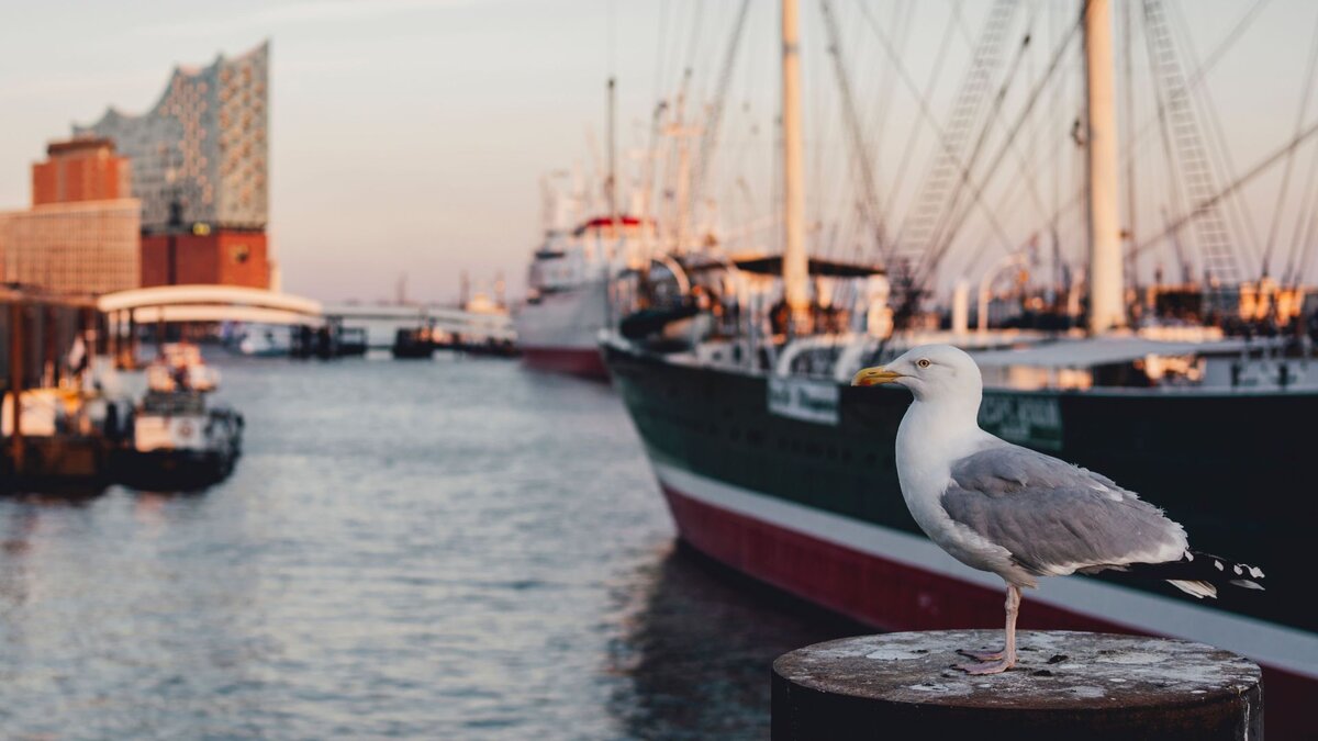Neue-internationale-Aufgabe-in-Rom-Pater-der-katholischen-Seemannsmission-verl-sst-Erzbistum-Hamburg