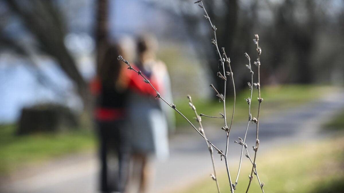 Engel-im-Alltag-Erfurts-Bischof-Neymeyr-betont-Schutz-der-Menschenw-rde