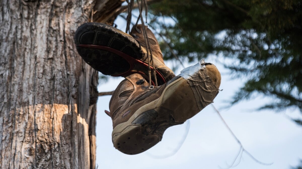-Ins-Leben-vertrauen-Expertin-bleibt-auch-nach-schlechter-Pilger-Erfahrung-optimistisch