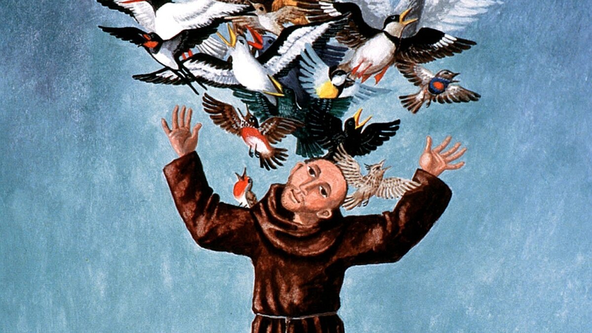 Franz von Assisi DOMRADIO.DE