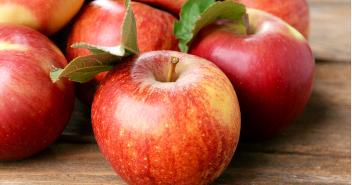 Äpfel sind die Symbolkraft Obstsorte mit großer beliebteste