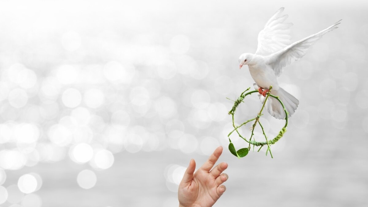 -Hoffnung-ist-kein-Denkprozess-Bruder-Paulus-sieht-auch-in-Krisenzeiten-Hoffnungszeichen