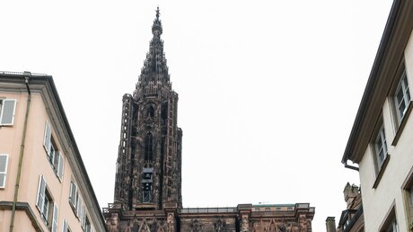 Spitze des Straßburger Münsters / © Harald Oppitz (KNA)