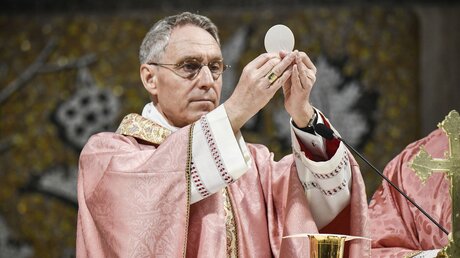Erzbischof Georg Gänswein / © Paolo Galosi/Romano Siciliani (KNA)