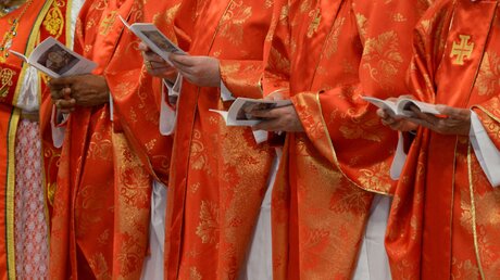 Kardinäle während der Messe zur Papstwahl / © Harald Oppitz (KNA)