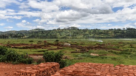 Hügel mit grüner Wiese und Wäldern im Osten des Kongo, in der Region von Burhale / © Harald Oppitz (KNA)