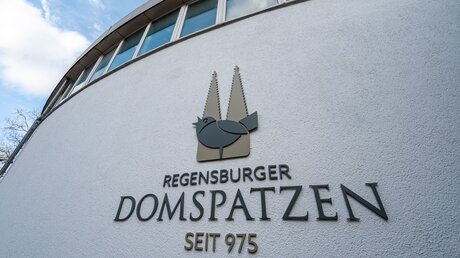 Regensburger Domspatzen / © Armin Weigel (dpa)