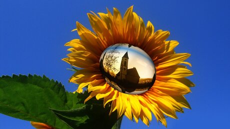 In einer Sonnenblume spiegelt sich eine Kirche / © geralt (Pixabay)