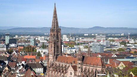 Blick auf das Freiburger Münster und die Innenstadt von Freiburg. / © Harald Oppitz (KNA)