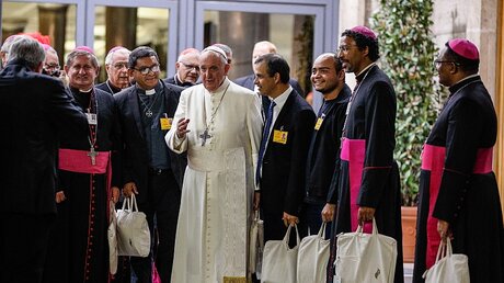Papst Franziskus mit Teilnehmern zum Abschluss der Amazonas-Bischofssynode  / © Paul Haring (KNA)