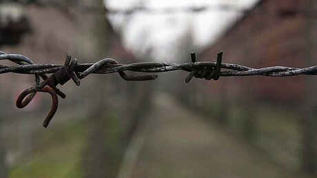Screenshot: Holocaust / © Reuters (Reuters)