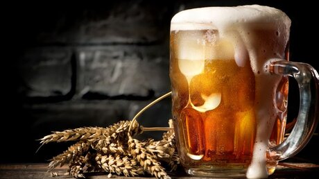 Symbolbild: Ein Bier in einem Glas / © givaga (shutterstock)