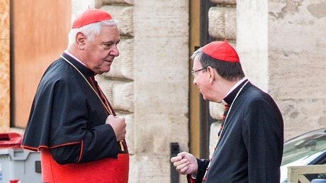 Synodenteilnehmer: Kardinal Gerhard Ludwig Müller (l.) und Kardinal Kurt Koch / © Andrea Krogmann (KNA)