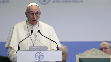 Papst Franziskus zu Besuch bei den Vereinten Nationen  / © Andrew Medichini (dpa)