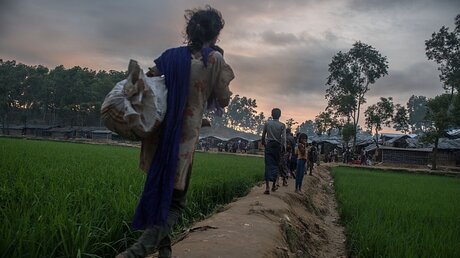 Rohingya fliehen nach Bangladesch / © Tommy Trenchard (dpa)