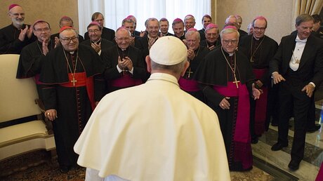 Im November 2015 waren die deutschen Bischöfe zum Ad-limina-Besuch bei Papst Franziskus. / © Osservatore Romano (KNA)