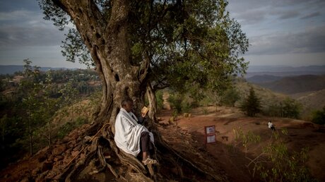 Äthiopisch-orthodoxer Christ betet unter einem Baum / © Miriam Alster (KNA)