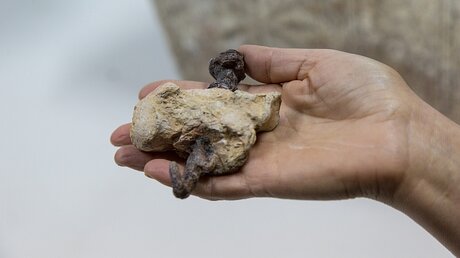 Replik des einzigen in Israel in einer Grabstätte gefundenen Rest eines gekreuzigten menschlichen Knochens. / © Andrea Krogmann (KNA)