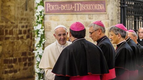 Papst Franziskus wird von Kardinälen in Assisi begrüßt / © Tommaso Crocchioni (dpa)
