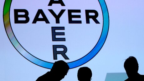 Aufsichtsratsmitglieder der Bayer AG vor dem Logo des Unternehmens / © Oliver Berg (dpa)