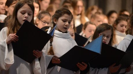 Aus insgesamt 163 Chormitgliedern besteht derzeit der Mädchenchor am Kölner Dom.  / © Beatrice Tomasetti (DR)