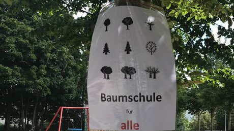 "Baumschule" in Rostock (privat)