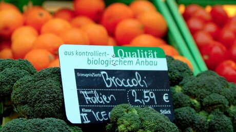 Gemüse aus biologischem Anbau (KNA)