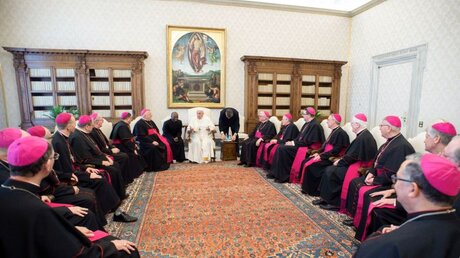 Bischöfe aus Florida, Georgia, North Carolina und South Carolina während ihres Ad-limina-Besuchs bei Papst Franziskus / © Vatican Media (KNA)
