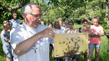 Bischof Gebhard Fürst hält einen Holzrahmen mit Bienen in den Händen / © Marijan Murat (dpa)