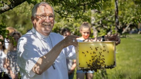 Bischof Gebhard Fürst setzt sich für den Erhalt von Bienen ein / © Jochen Wiedemann (Bistum Rottenburg-Stuttgart)