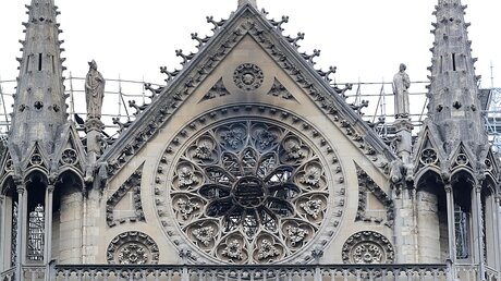 Blick auf die Kathedrale Notre-Dame nach dem Brand / © Gareth Fuller (dpa)